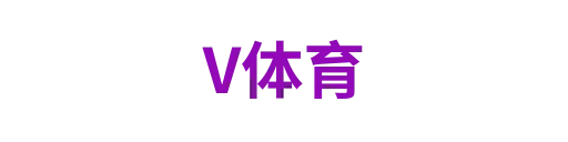 V体育
