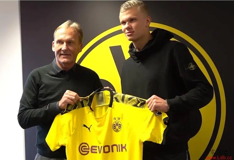 用稳定出勤 用稳定出勤