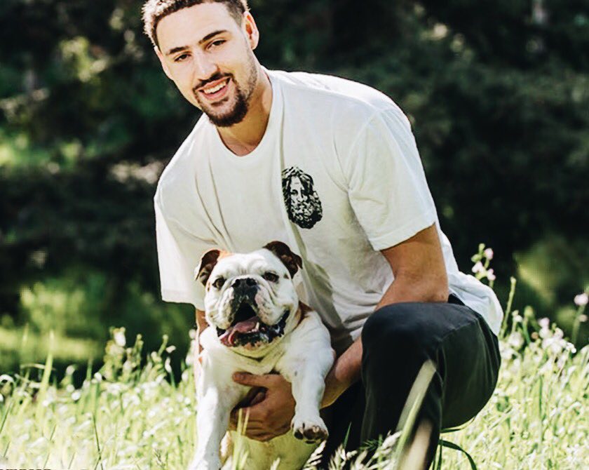 枪战允许部 枪战允许部